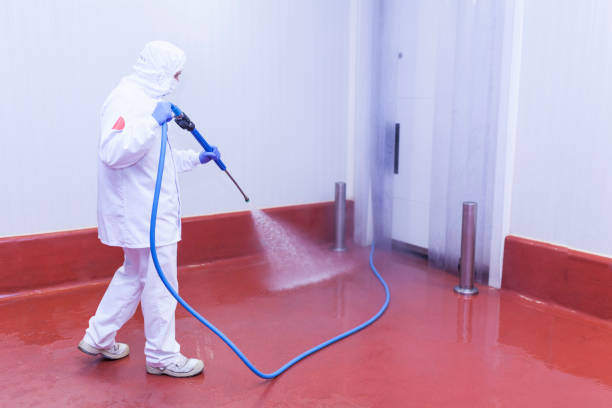 Best Window and Screen Pressure Cleaning in Roscoe, TX